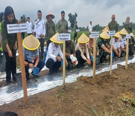 Pj Walikota Pekanbaru, Muflihun mencanangkan Gerakan Menanam Cabai di kawasan pertanian Kelompok Tani Amara Jaya (foto/Mg2)