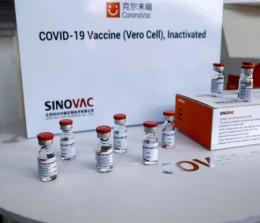 Studi terbaru dari China menemukan bahwa antibodi dari vaksin Sinovac turun pada enam bulan setelah penerimaan vaksin dosis kedua. Solusinya adalah harus divaksin lagi.