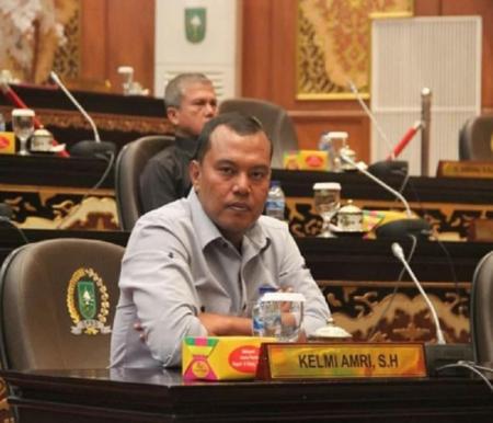 Ketua Fraksi Demokrat DPRD Riau, Kelmi Amri.