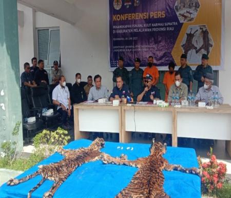Gakkum KLHK ungkap tiga pelaku perdagangan kulit harimau Sumatera dari Desa Bunut di Pelalawan (foto/bayu-halloriau)