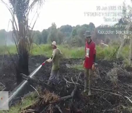 Petugas padamkan Karhutla di kawasan konservasi Suaka Margasatwa Giam Siak Kecil (foto/bayu)