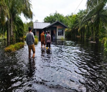 rumah warga terendam banjir di Bengkalis.(foto: bayu/halloriau.com)