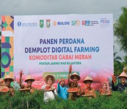 Kepala BI Riau, M Nur bersama Pj Bupati Kampar, Kamsol saat panen perdana digital farming di Desa Birandang.(foto: barkah/halloriau.com)