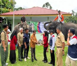 Manajemen HK menyerahkan GPS Collar kepada BBKSDA Riau untuk memantau gajah Sumatera di sekitar Tol Permai.(foto: int)
