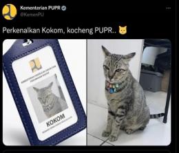 Kucing Kementerian PUPR trending di medsos (foto/int)