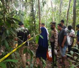 Polisi mengevakuasi tengkorak manusia yang ditemukan di hutan Desa Pesaguan (foto/and)