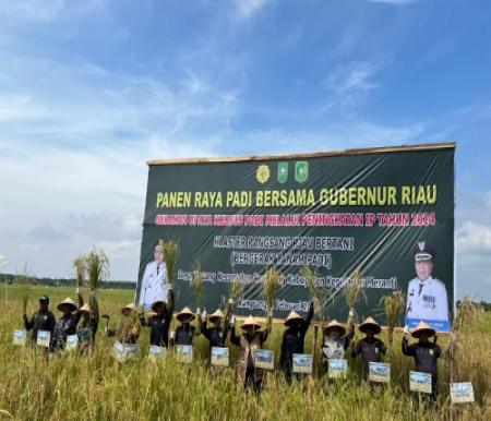 Gubernur Riau, Edy Natar panen raya di Meranti.(foto: mg1/halloriau.com)