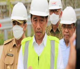 Presiden, Jokowi ke Riau.(foto: int)
