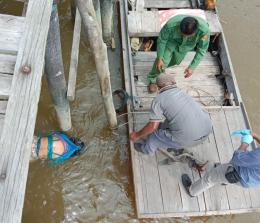 Mayat wanita yang terapung di perairan Desa Tanjung Kulim saat dievakuasi oleh warga