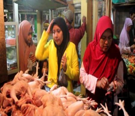 Ilustrasi harga ayam potong naik di Pekanbaru (foto/int)