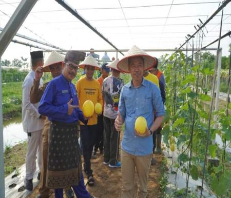 Bupati Afrizal Sintong panen melon di Taman Edukasi Pertanian (foto/zal)