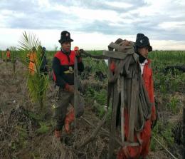 Tim BPBD Riau lakukan pemadaman Karhutla.(foto: mcr)