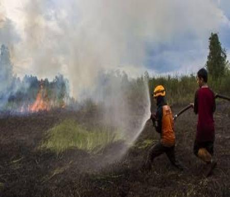 Titik Api dan titik panas di Riau.(ilustrasi/int)