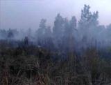 Kapolda Riau Ikut Padamkam Api di Jalan Riau Ujung