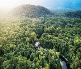Ilustrasi aturan penetapan kawasan hutan tidak sembarangan (foto/int)