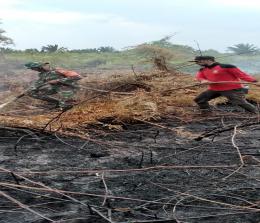 Petugas saat melakukan pendinginan di.laahn bekas terbakar di Desa Tanjung Peranap