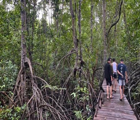 Wisata Edukasi Mangrove Sungai Bersejarah Kampung Kayu Ara Permai, Sungai Apit, Siak (foto/Meri)