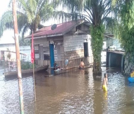 Warga terdampak banjir di Pelalawan mulai mengeluhkan belum ada bantuan (foto/andi) 