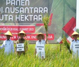 Gubernur Riau, Syamsuar bersama Kepala BI Perwakilan Riau, M Nur dan Bupati Rohil, Afrizal Sintong saat panen raya padi nusantara 1 Juta Hektar.(foto: istimewa)