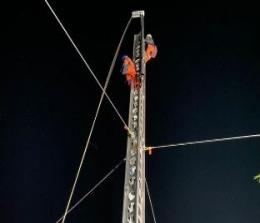 PLN terpaksa melakukan tower darurat akibat besi penyangga dua Tower SUTT 150 kV dicuri sehingga roboh (foto/int)