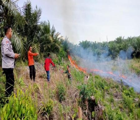 Titik panas di Riau.(ilustrasi/int)