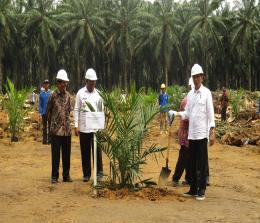 Presiden Joko Widodo meresmikan peremajaan (replanting) perkebunan kelapa sawit rakyat tahap III di Kabupaten Rokan Hilir, Riau