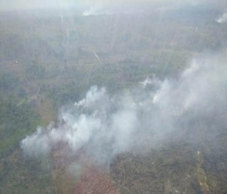 Ilustrasi kebakaran hutan dan lahan di Kabupaten Indragiri Hulu masih terjadi (foto/int)