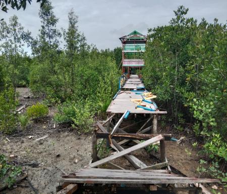 Kondisi destinasi wisata mangrove Jembatan Pelangi Banglas kondisinya memprihatinkan
