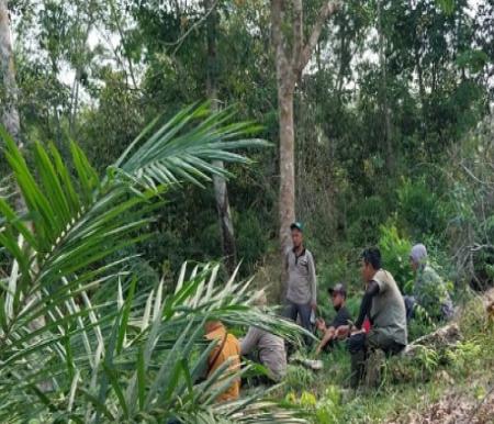 Tim BBKSDA Riau menelusuri jejak beruang yang masuk area kebun warga di Kuansing.(foto: bayu/halloriau.com)