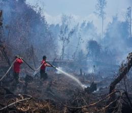 Ilustrasi Karhutla mengancam Riau selama musim kemarau tahun 2023 (foto/int)