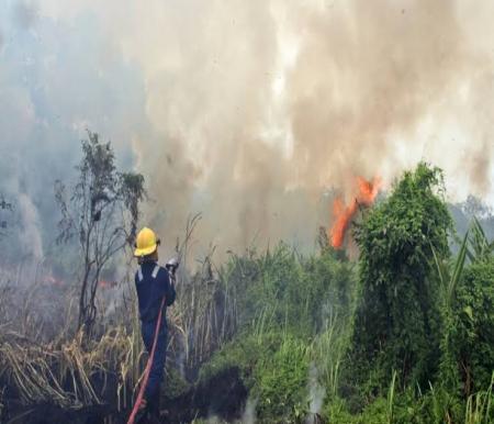 Titik api dan hotspot di Riau.(ilustrasi/halloriau.com)