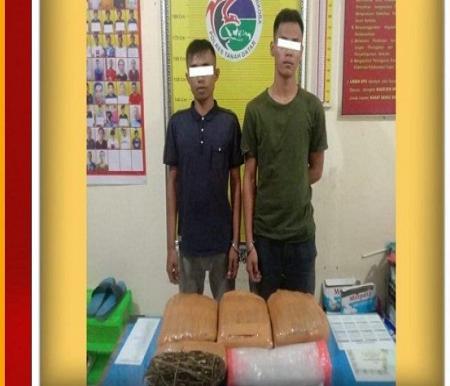 Pelaku penyalahgunaan narkoba jenis daun ganja ditangkap di Jalan Lintas Ombilin (foto/int)