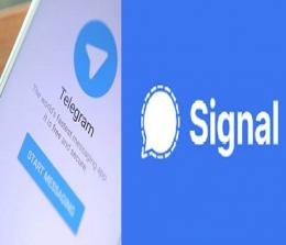 Telegram dan Signal